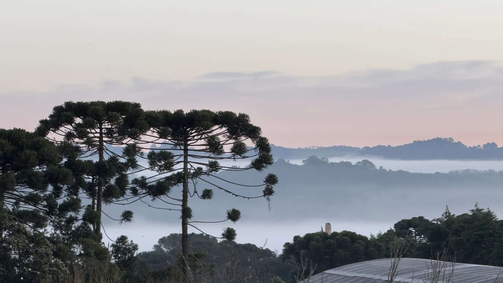 Frio avança no Paraná com mínimas de até 4ºC no Sul do estado