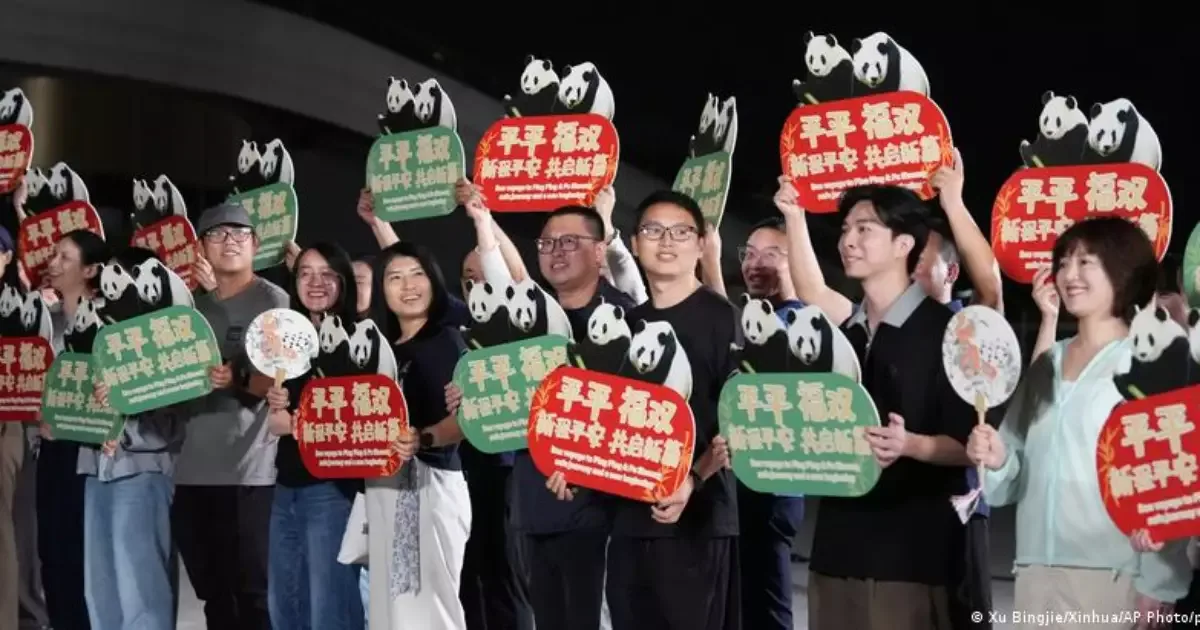 China envia casal de pandas aos Estados Unidos por acordo de dez anos