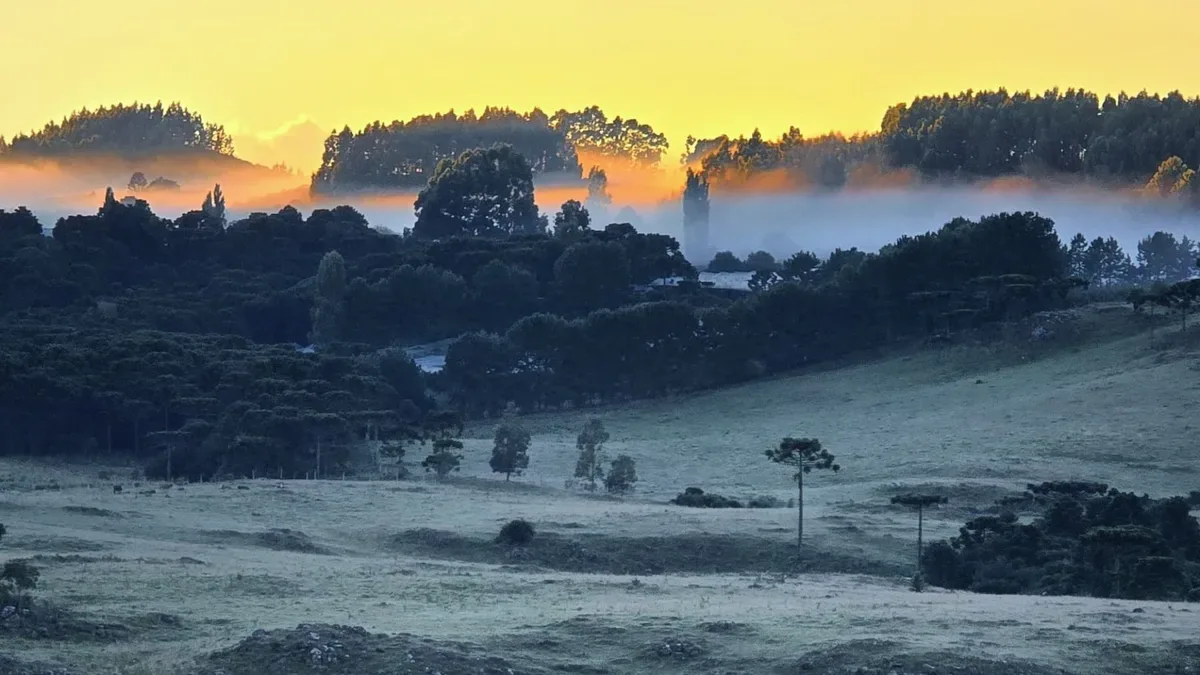 Feriado terá temporais, geada e frio intenso em diferentes regiões do Brasil