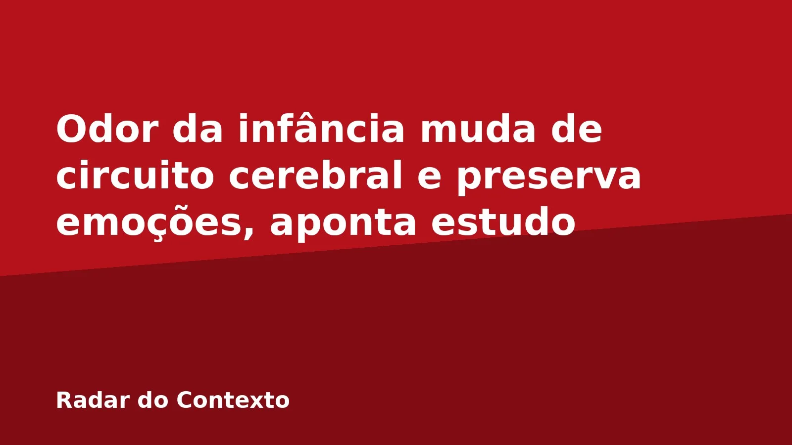 Odor da infância muda de circuito cerebral e preserva emoções, aponta estudo