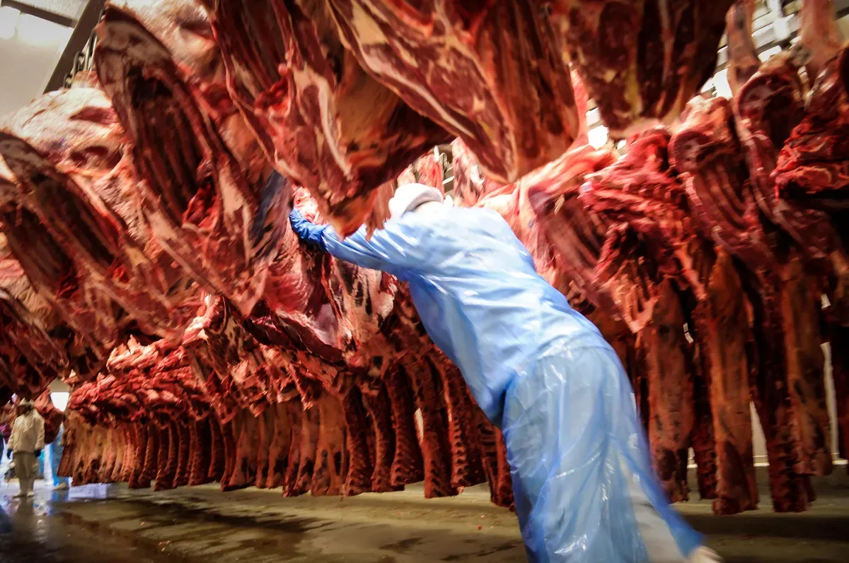 China autoriza quatro frigoríficos brasileiros a exportar carne