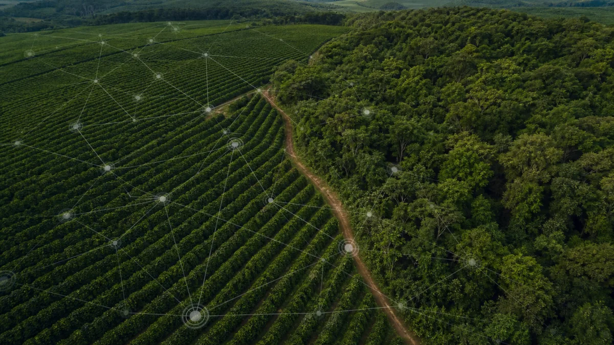 Sustentabilidade passa a influenciar crédito, seguro e produtividade no campo