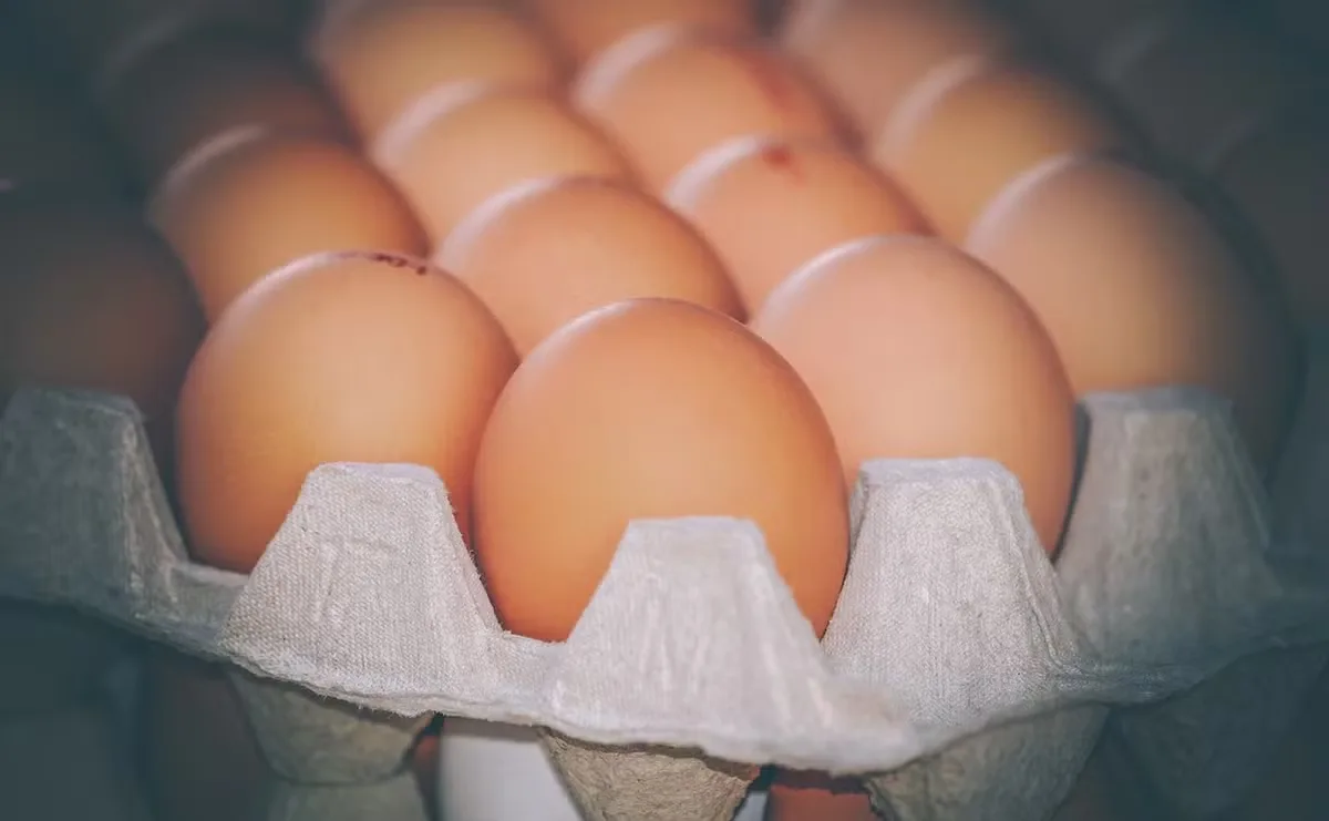 Como conservar ovos e por que eles ficam fora da geladeira