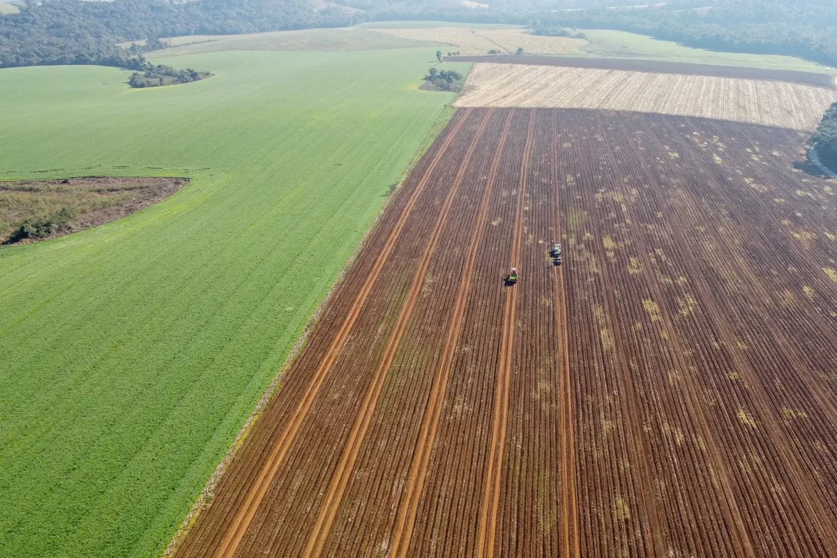 Crédito fundiário cresce no Sul e amplia acesso de jovens à terra