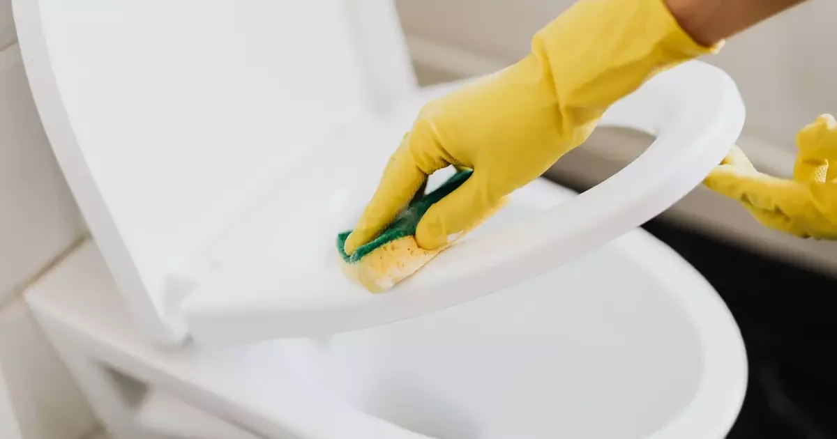 Manchas no vaso: produtos certos e cuidados para preservar a louça