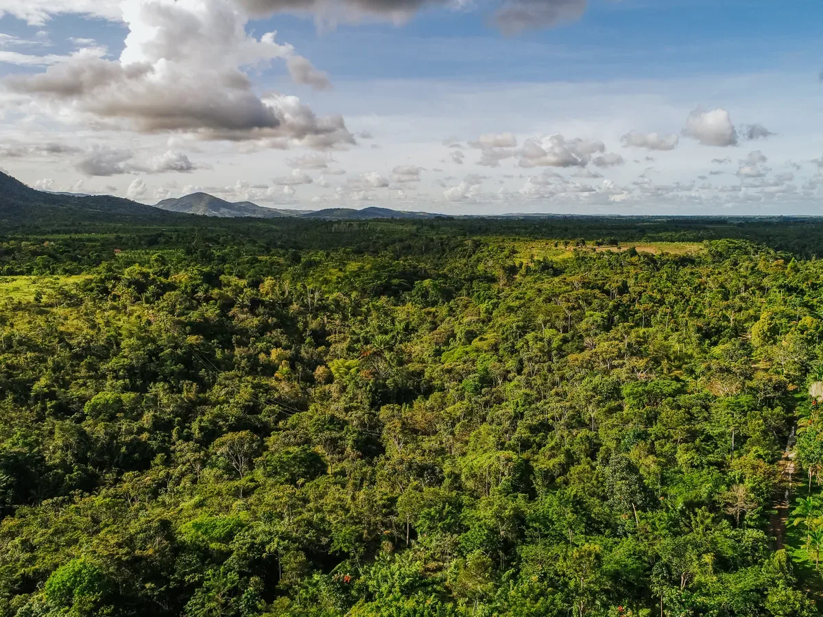 Projeto em Roraima recebe primeira parcela de financiamento de R$ 116 milhões