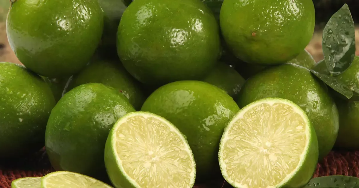 Alimentos que podem contribuir para a saúde e o funcionamento dos rins