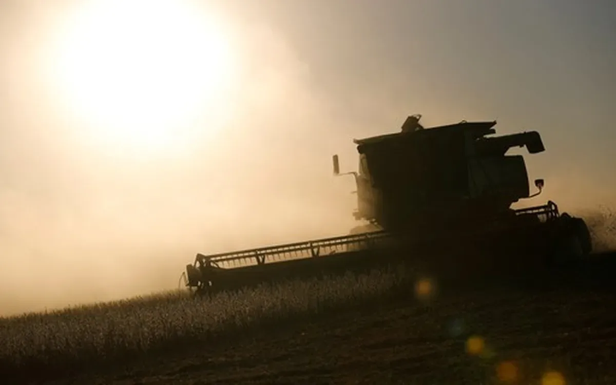 Modelos de empresas de alimentos subestimam riscos climáticos, aponta estudo