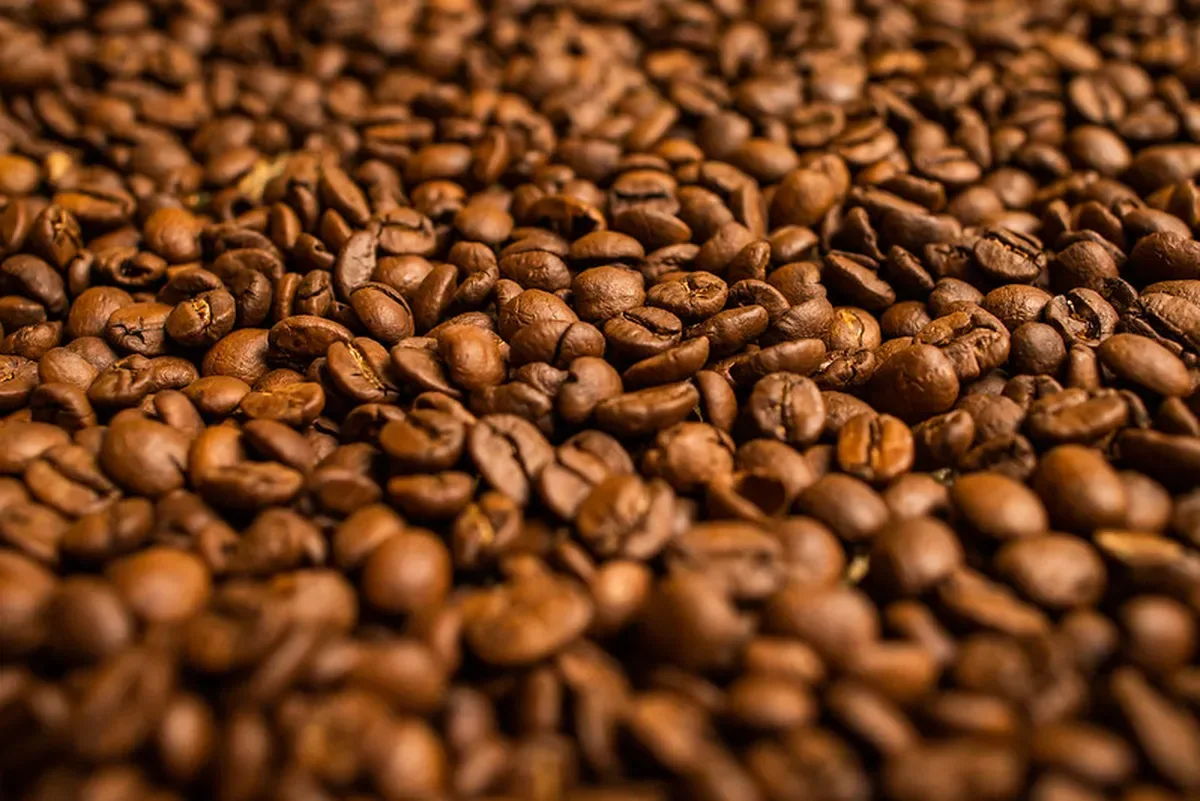 Café recua em Nova York após alta impulsionada por clima seco