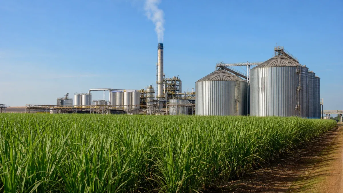 Agroindústria brasileira cai 2,9% em julho, aponta FGV Agro