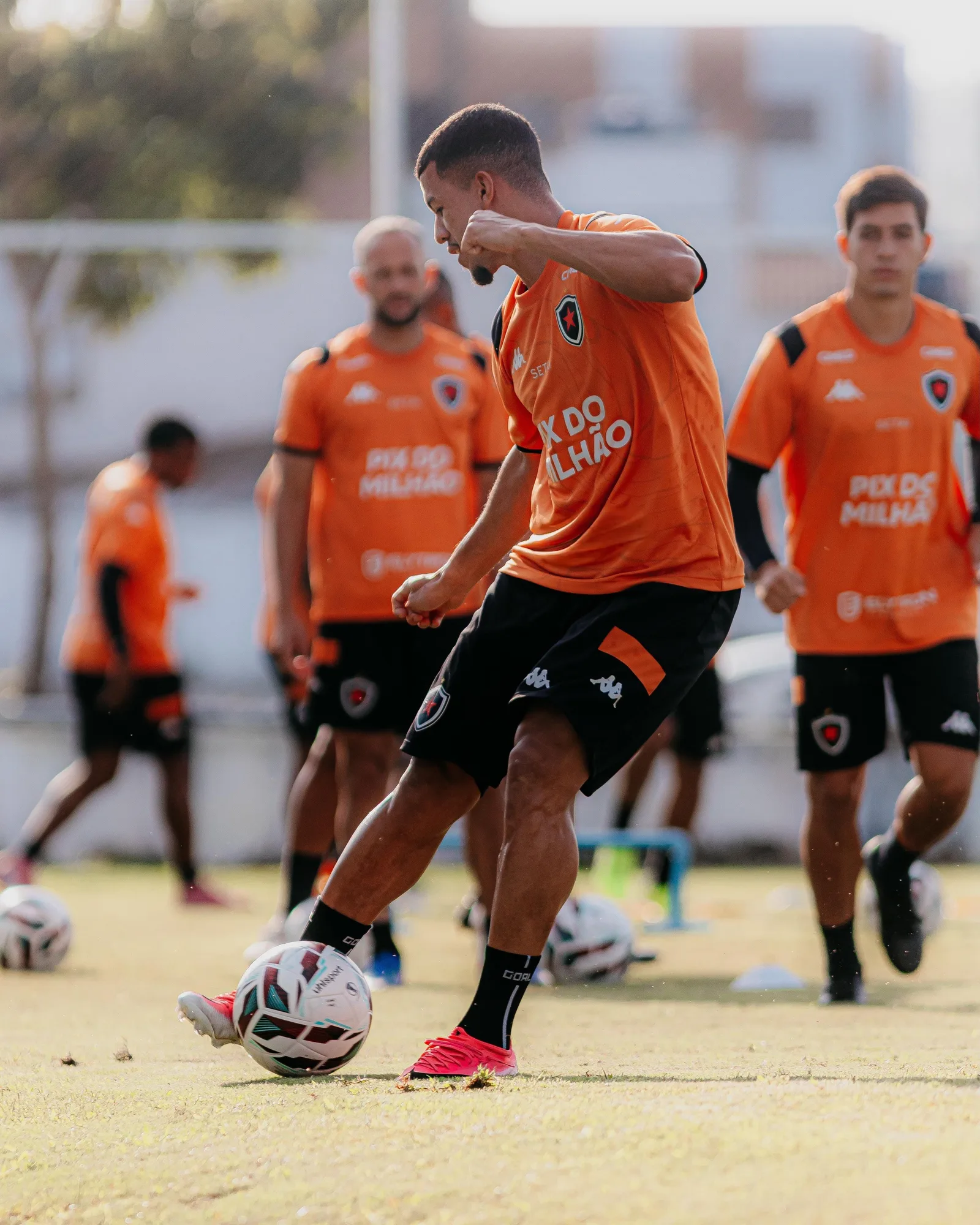 Botafogo-PB terá opções recuperadas no início da disputa pelo acesso