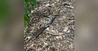 Mulher de 79 anos morre após disparo durante caçada em Itupiranga