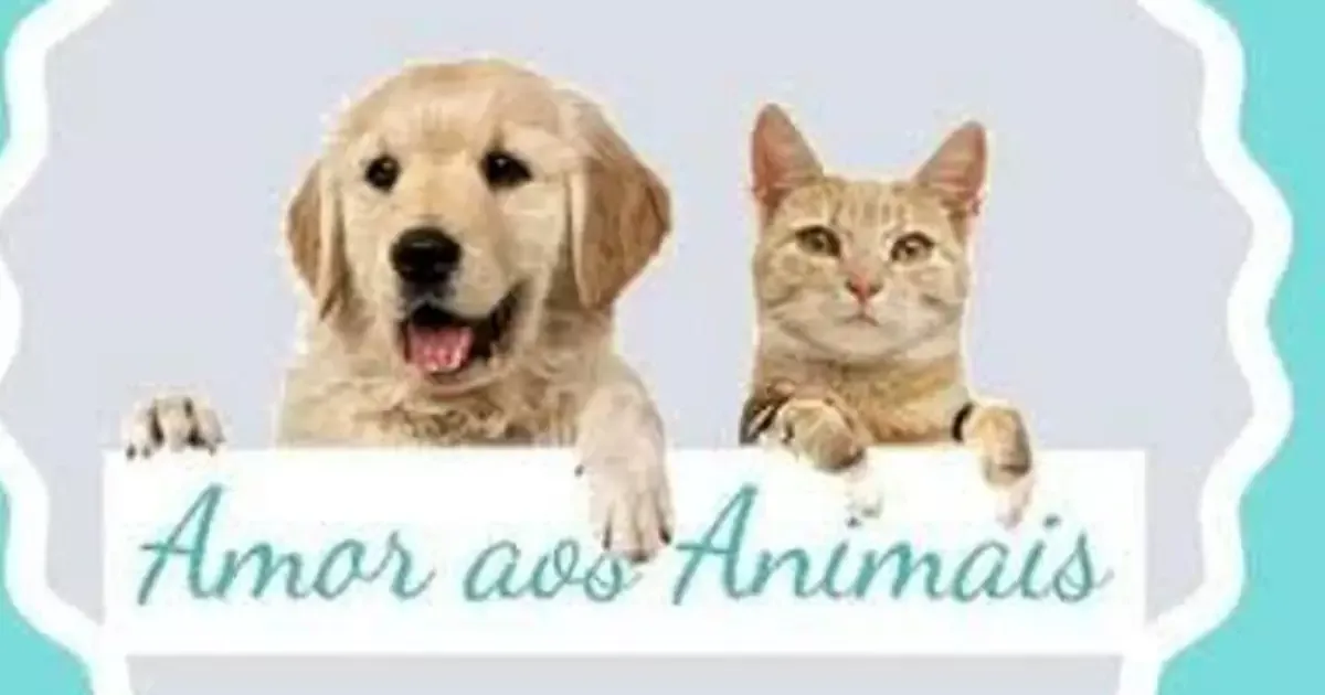Campanha busca R$ 17 mil para manter clínica que abriga animais resgatados