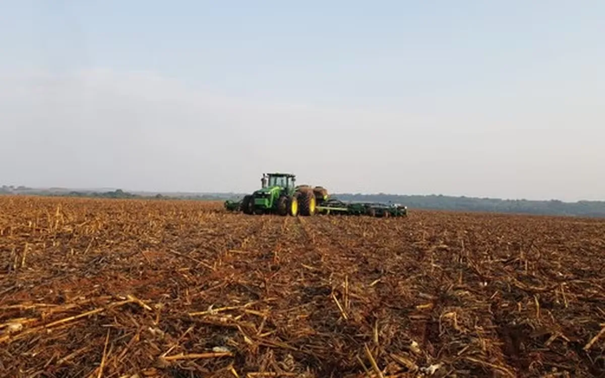 Imea projeta 13,05 milhões de hectares para soja em Mato Grosso