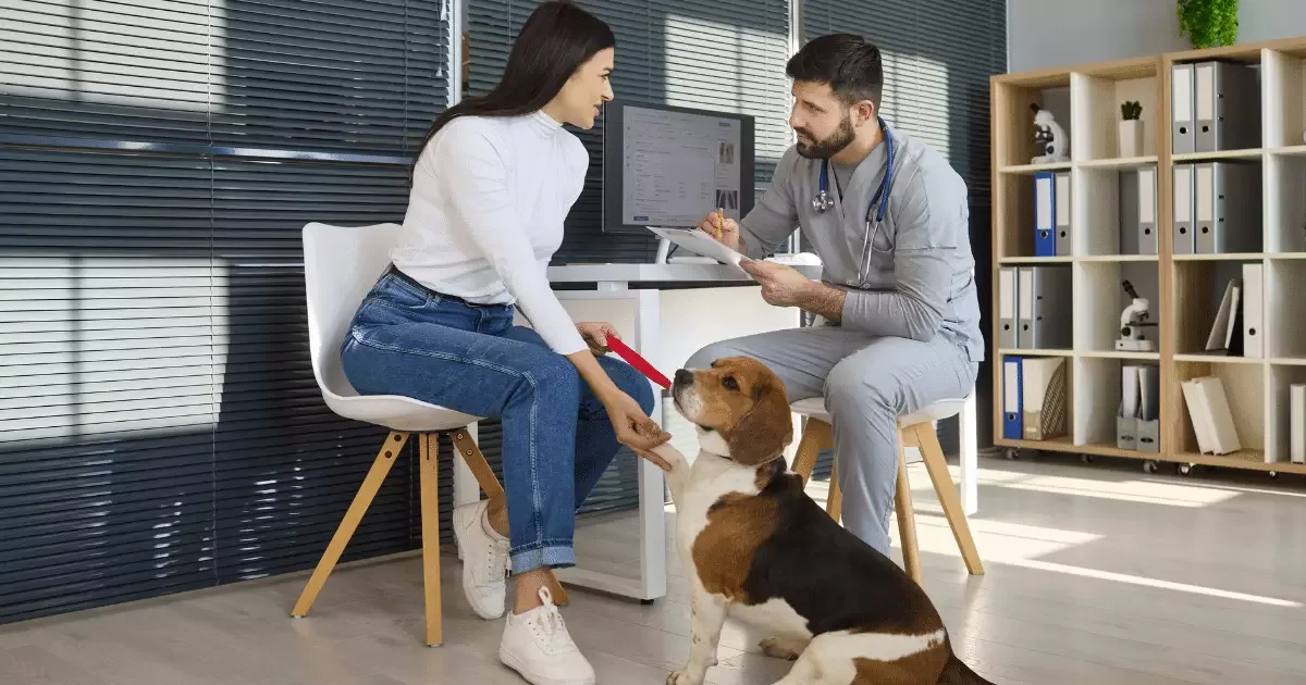 Alimentação de pets idosos exige avaliação individual antes da troca