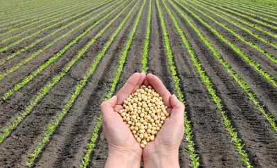 Plantio da soja 2026/27 começa oficialmente em evento em Mato Grosso