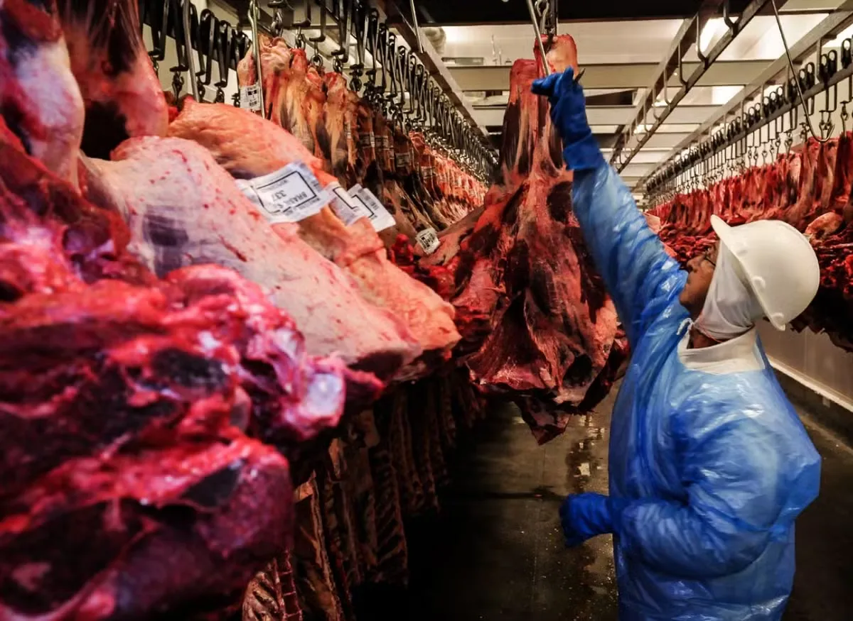 Cota sem tarifa limita embarques de carne bovina brasileira à China