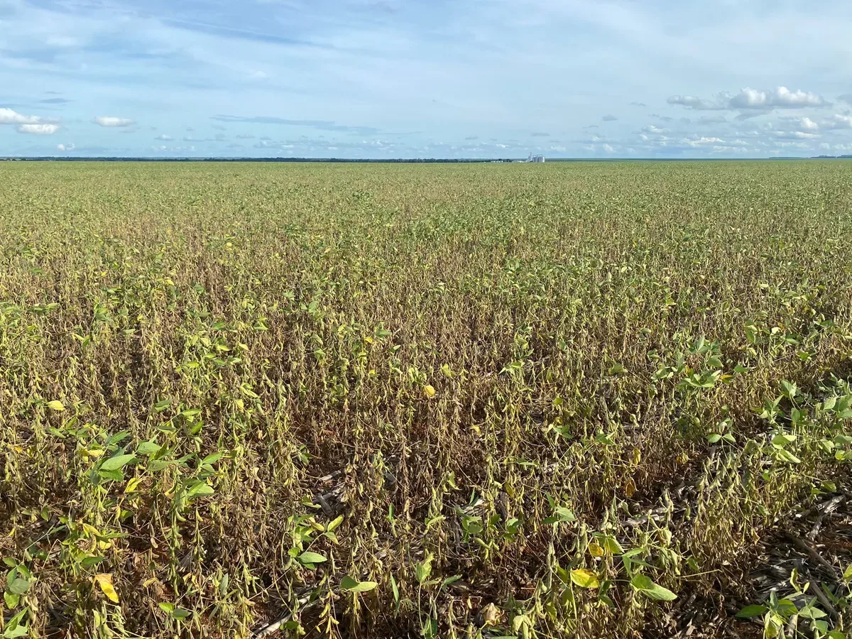 Proagro terá orçamento de R$ 5,6 bilhões em 2027, aponta PLOA