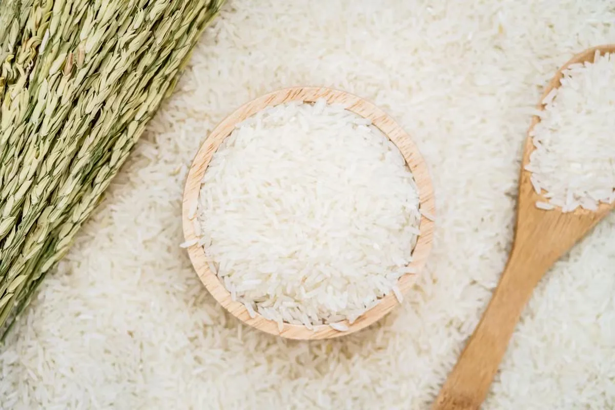 Arroz melhora de preço no RS, mas ainda não cobre custo total