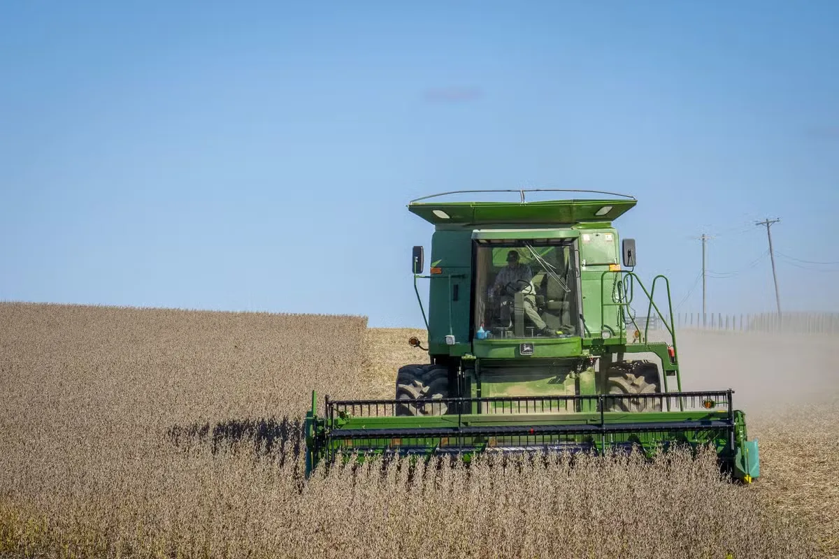 Relatório do USDA muda rumo dos grãos e derruba soja em Chicago