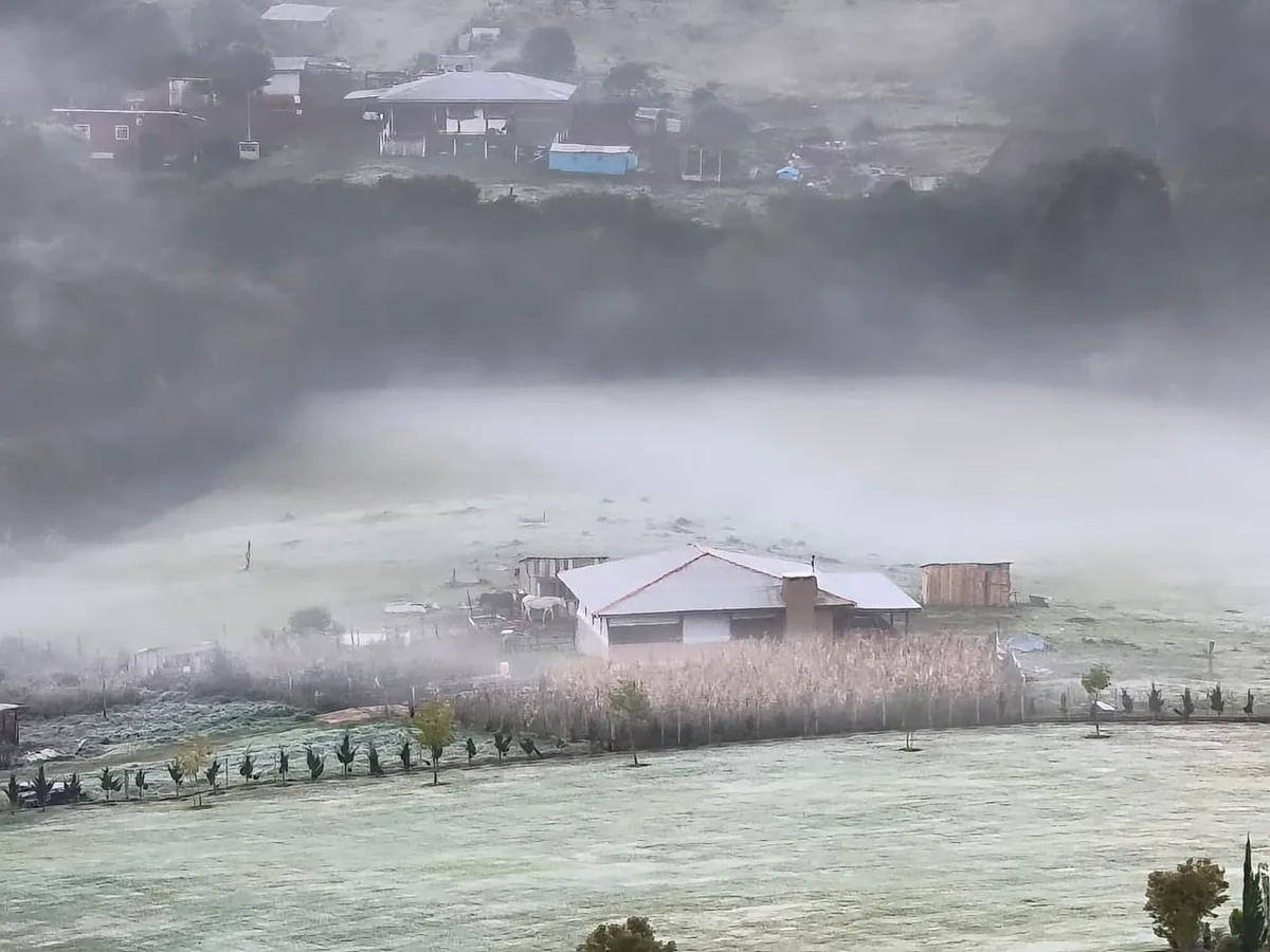 Paraná pode ter mínima de 1°C e geadas no centro-sul nesta semana