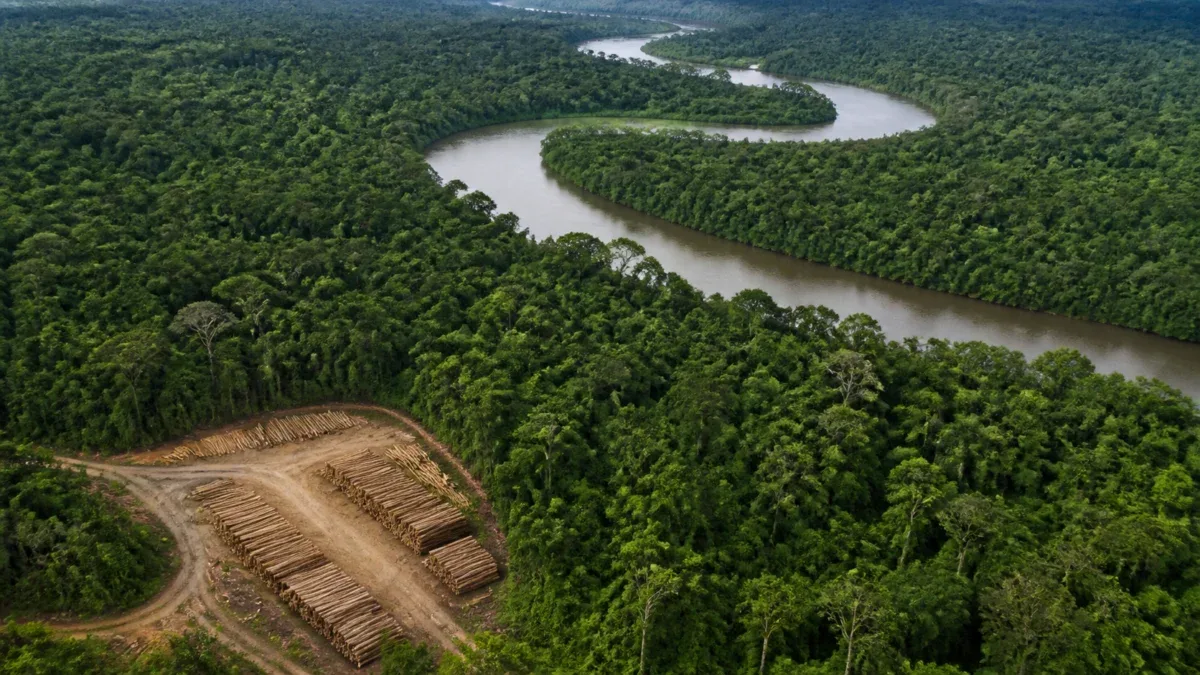 BNDES e Acre estruturam concessão de 213 mil hectares de florestas