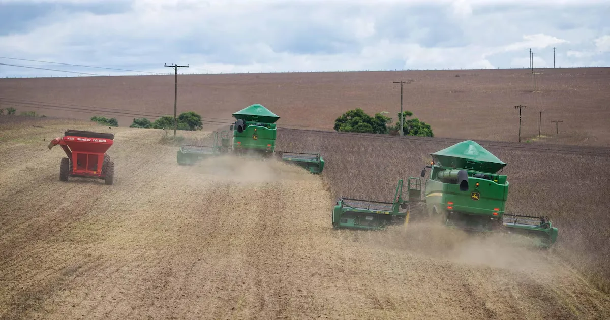 Regras ambientais ampliam desafios para exportações do agronegócio brasileiro