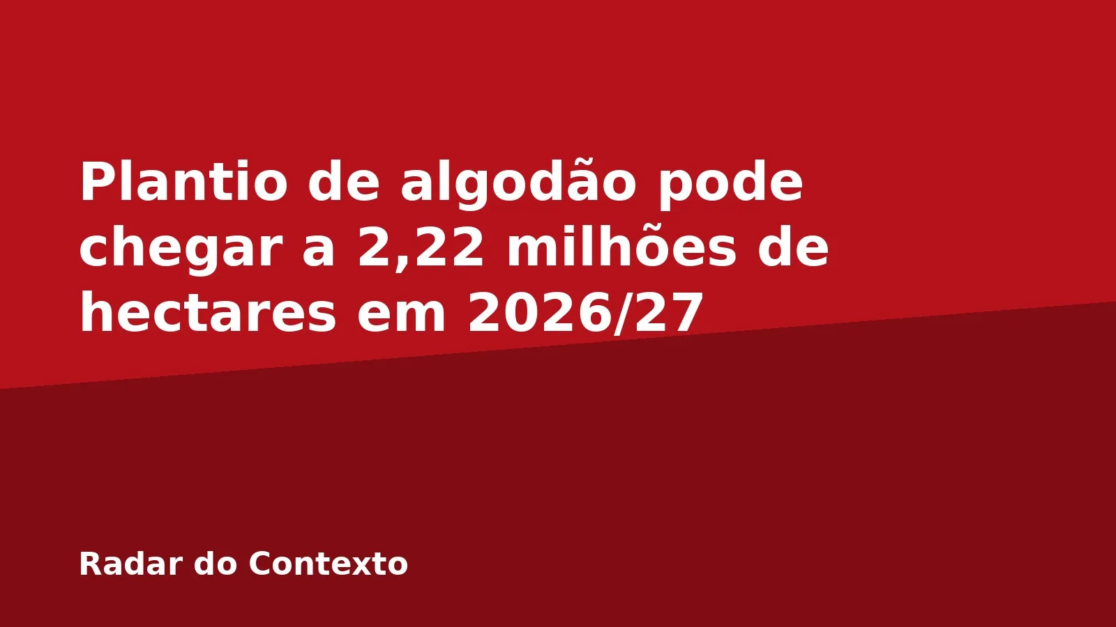 Plantio de algodão pode chegar a 2,22 milhões de hectares em 2026/27