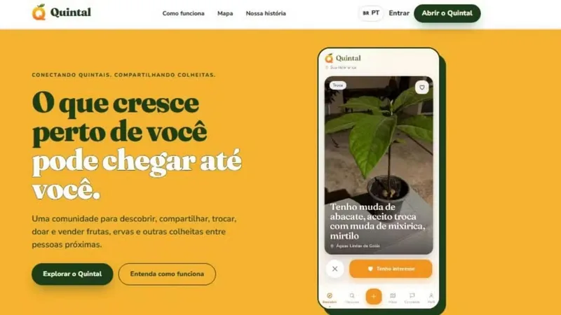 Quintal já reúne 21 mil contas para negociar alimentos entre vizinhos