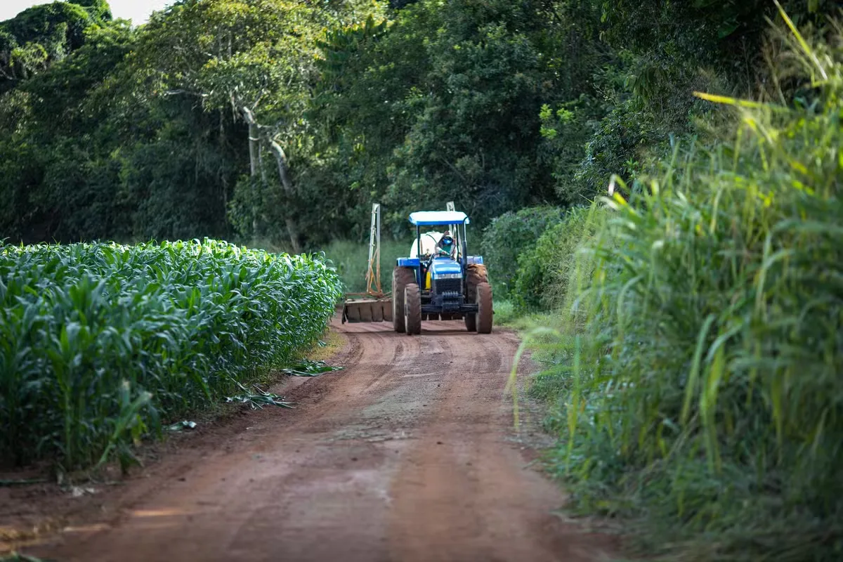 Lei do seguro rural reforça previsibilidade e integra crédito e gestão de riscos