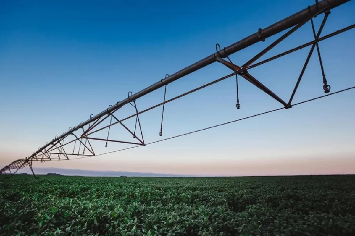 Agronegócio gaúcho enfrenta perdas, dívidas e dificuldade para renovar produtores