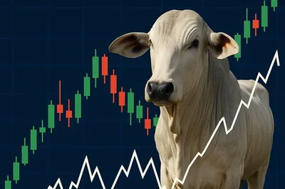 Arroba sobe em cinco estados, mas carne bovina encontra limite no atacado