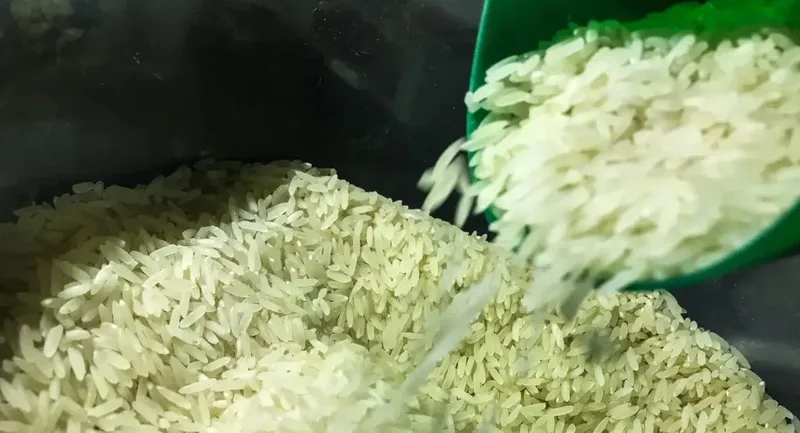 Alta do arroz em casca perde força no Rio Grande do Sul