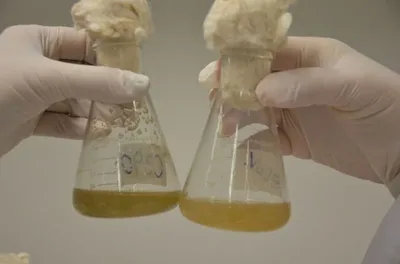 Plataforma da Bioma prevê primeira linha hormonal para 2027
