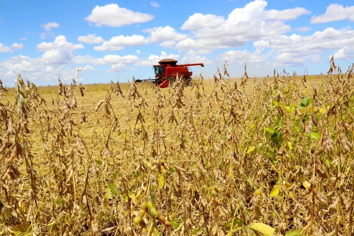 Centro-Oeste lidera valor da produção agropecuária estimado para agosto