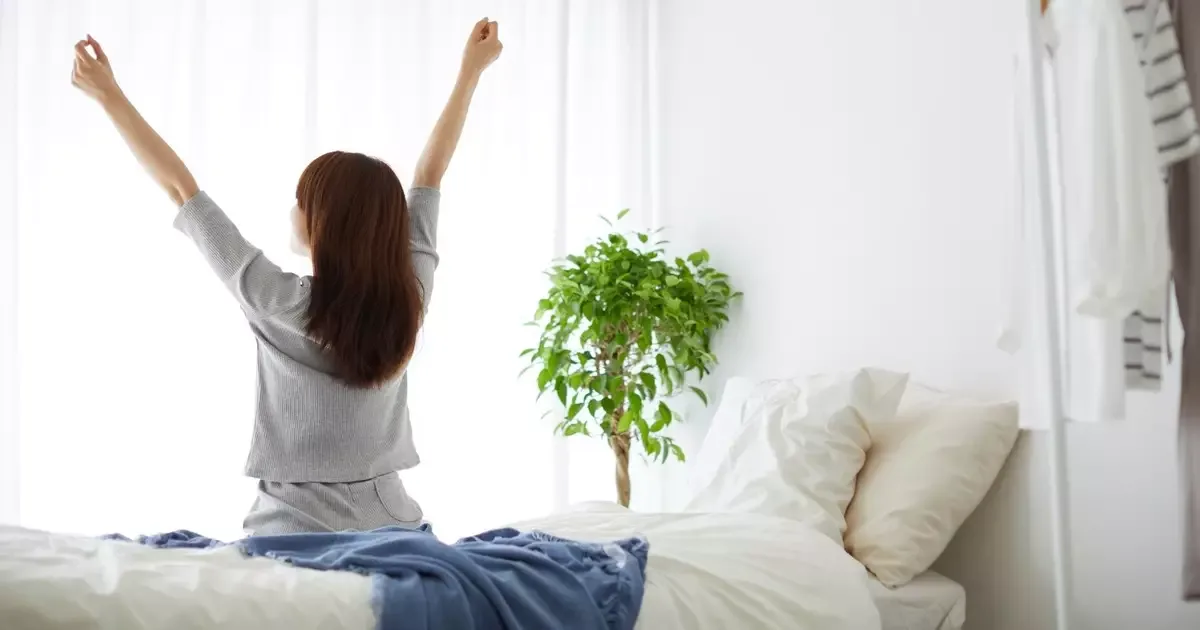Plantas no quarto podem favorecer o relaxamento antes do sono