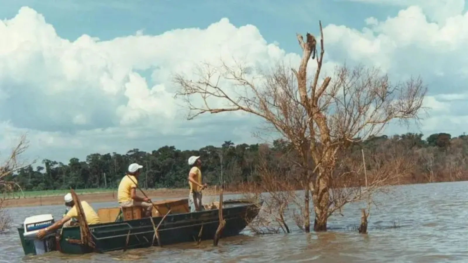 Resgate de Itaipu retirou quase 39 mil animais da área inundada