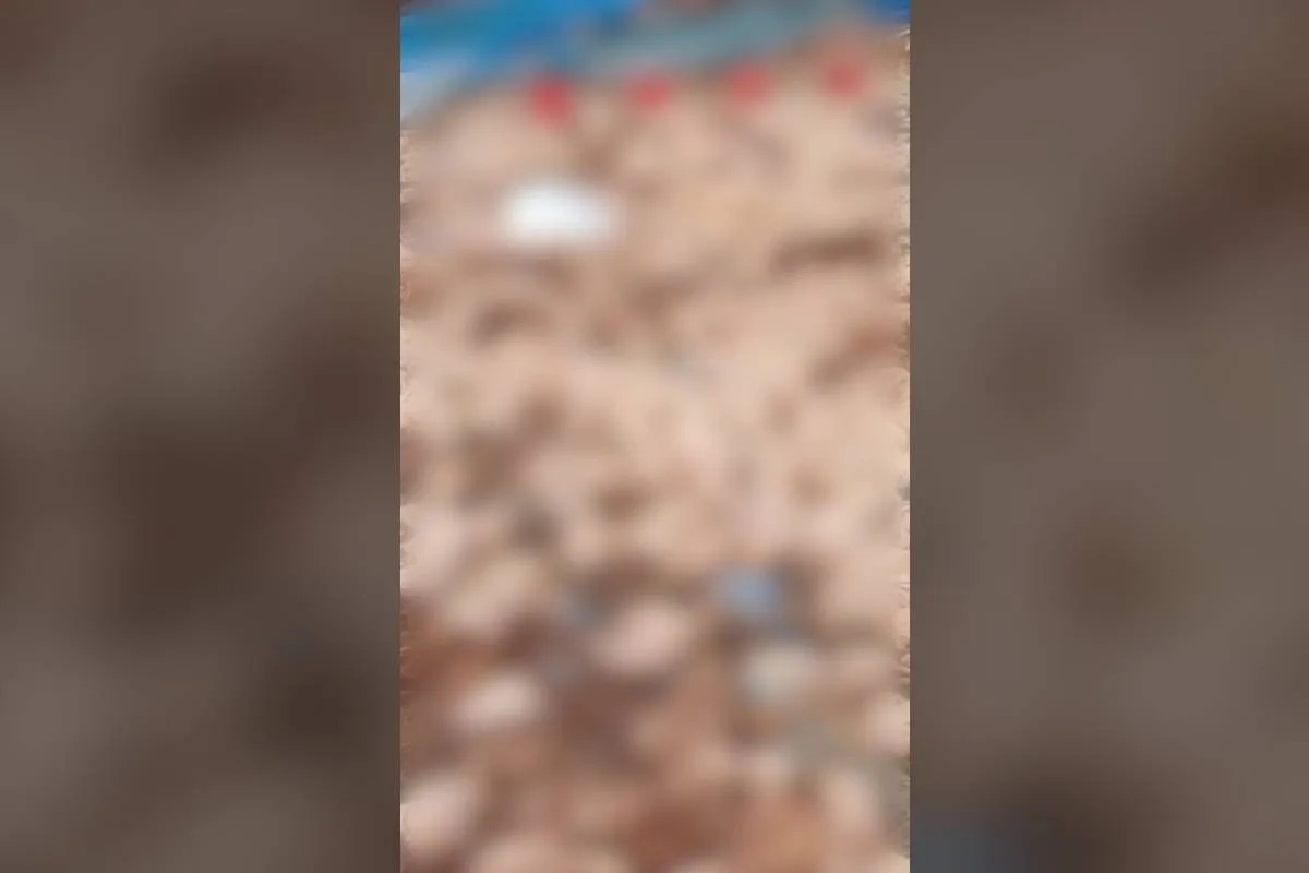 Vendaval destrói granja e causa danos em Apucarana, no Paraná