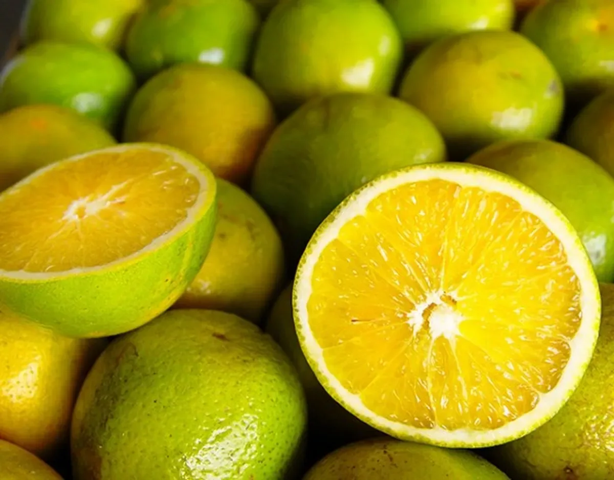 Limão tahiti alcança R$ 141,83 enquanto laranja de mesa perde valor